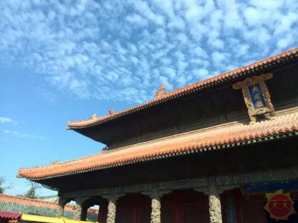 山东，历史与现代交织的辉煌篇章